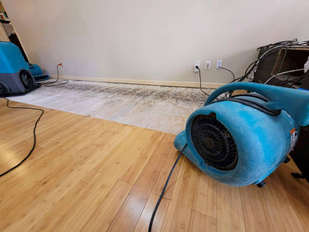 Reliable Basement Flood Cleanup contractor in Tarpon Springs, FL by Hirex Water Damage