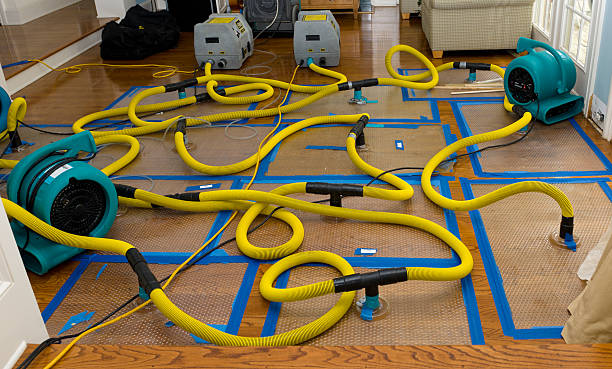 Professional Basement Flood Cleanup technician working in Tarpon Springs, FL
